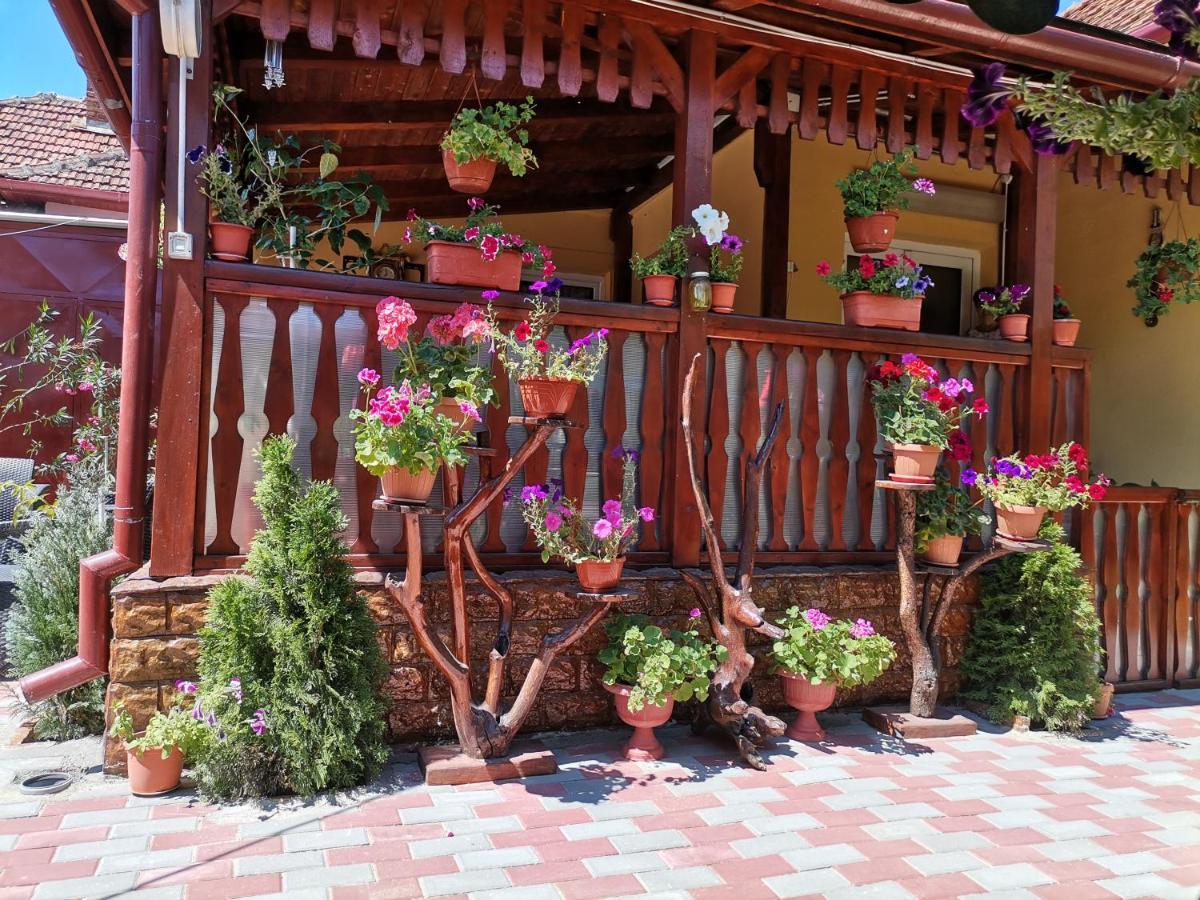 Casa Dana Hotel Haţeg Exterior foto